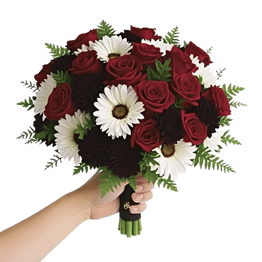 Blushing Rose Symphony