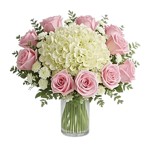 Ivory Blossom Radiance