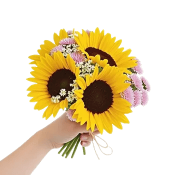 Twinkling Sunflower Dance