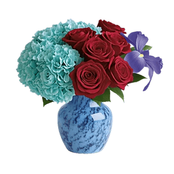 Elegant Blue Roses