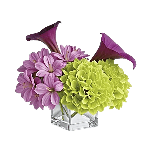 Graceful Lily Display