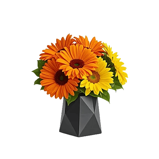 Radiant Petal Display