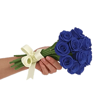 Rosemary Bloom Elegance