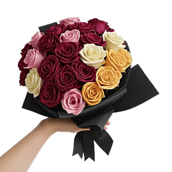 Crimson Rose Elegance