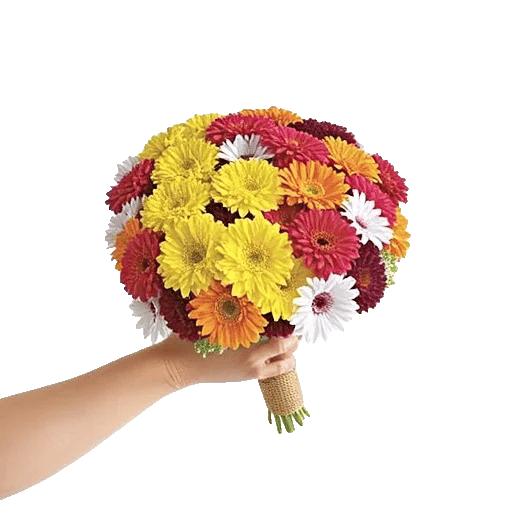 Blossom Harmony Display