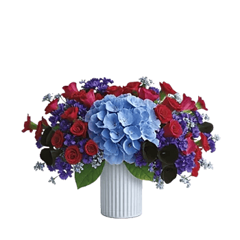 Sapphire Bloom Whisper