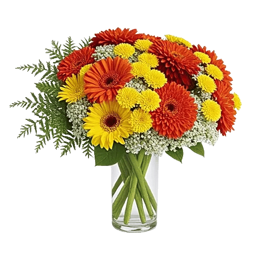 Petal Radiance Bliss
