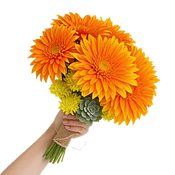 Radiant Bloom Cascade
