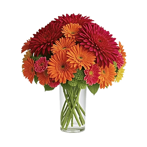 Crimson Blossom Harmony