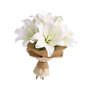 Graceful Lily Display