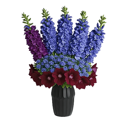 Velvet Tulip Display