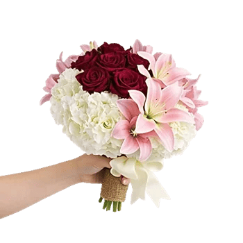 Blushing Rose Symphony