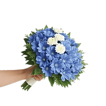 Sapphire Bloom Whisper