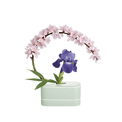 Ivory Blossom Radiance