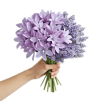 Pastel Blossom Grace