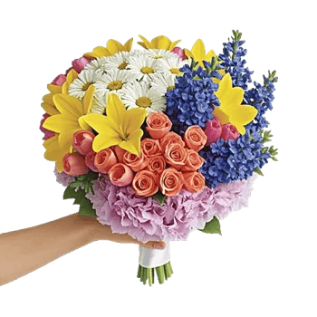 Blossom Petal Serenity