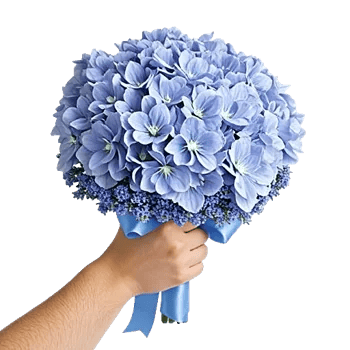 Sapphire Bloom Whisper