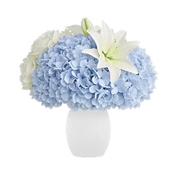 Ivory Blossom Radiance