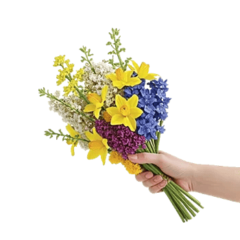 Blossom Harmony Display