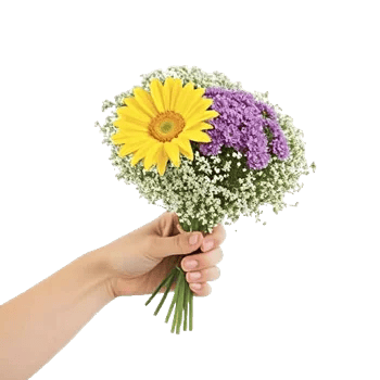 Enchanting Daisy Garden