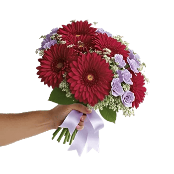 Crimson Blossom Harmony