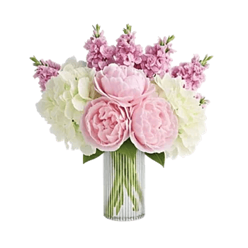 Petal Radiance Bliss