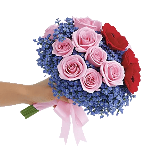 Pastel Pink Roses
