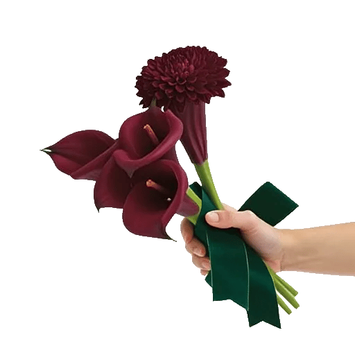 Elegant Calla Lilies