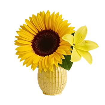 Golden Bloom Radiance