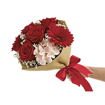 Crimson Rose Elegance