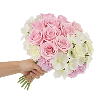 Pastel Pink Roses