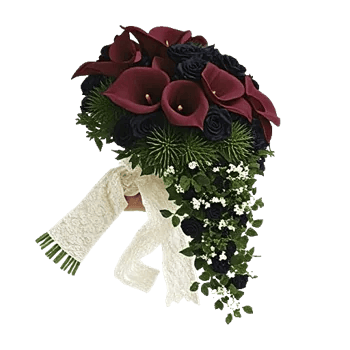 Elegant Calla Lilies