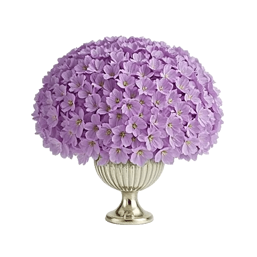 Orchid Bloom Cascade