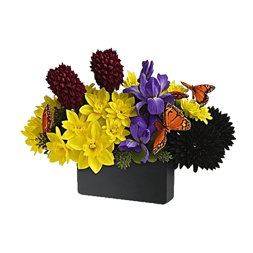 Crimson Blossom Harmony