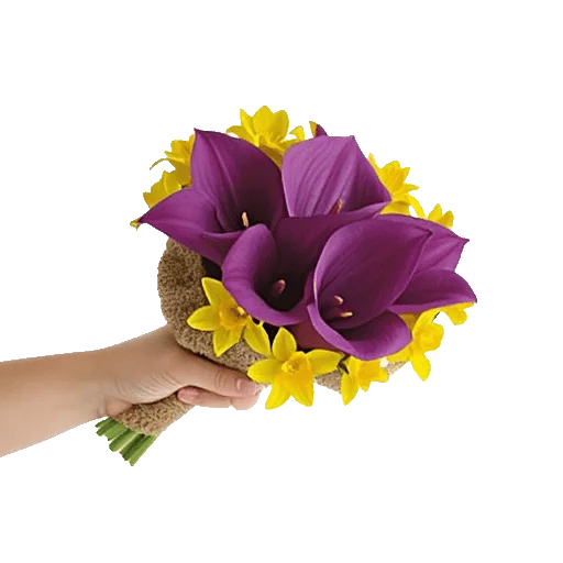 Elegant Calla Lilies