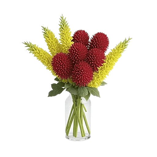 Petal Radiance Bliss