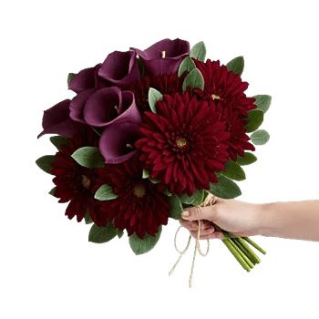 Elegant Calla Lilies
