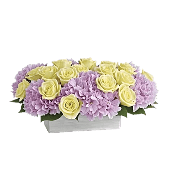 Delicate Petal Cascade