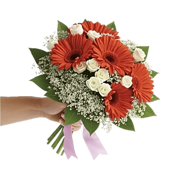 Petal Harmony Bliss