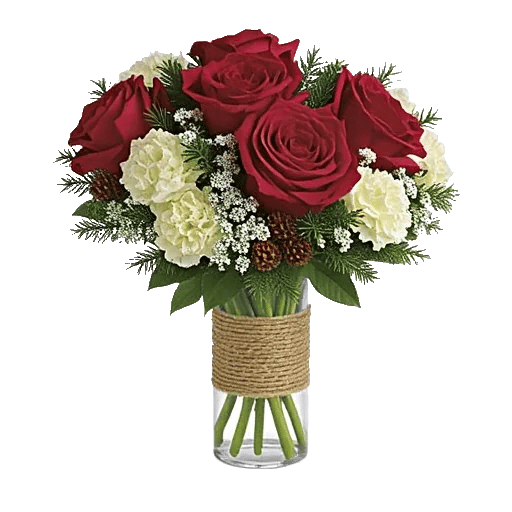 Crimson Rose Elegance