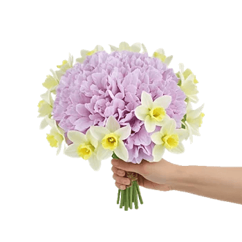 Ivory Blossom Radiance