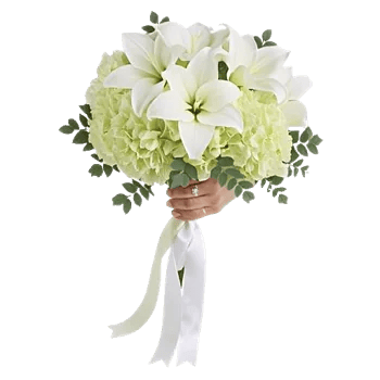 Delicate Petal Cascade