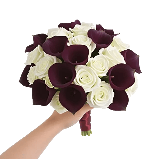 Elegant Calla Lilies