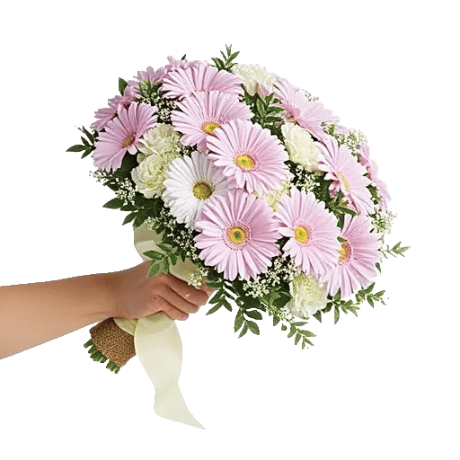 Petal Softness Display