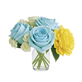 Radiant Rose Symphony