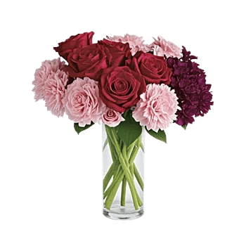 Crimson Blossom Harmony