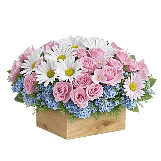 Petal Harmony Bliss