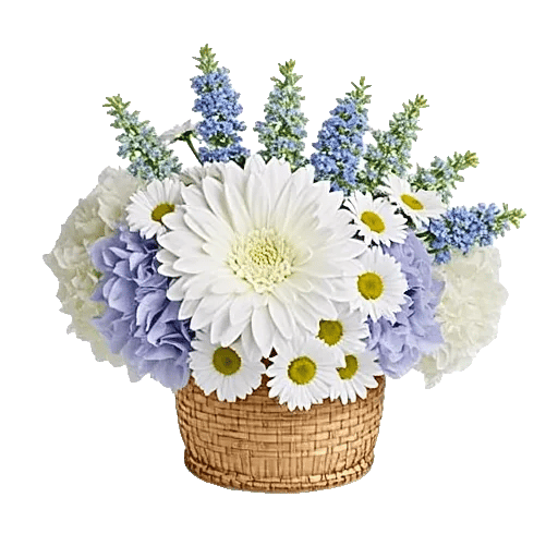 Serene Petal Harmony