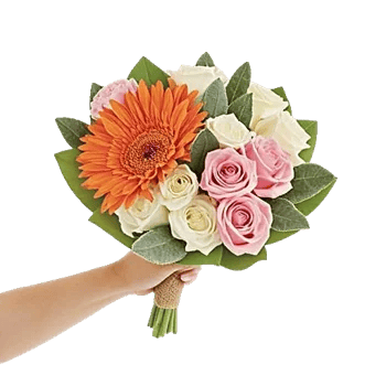 Petal Harmony Bliss