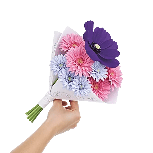 Blossom Petal Serenity